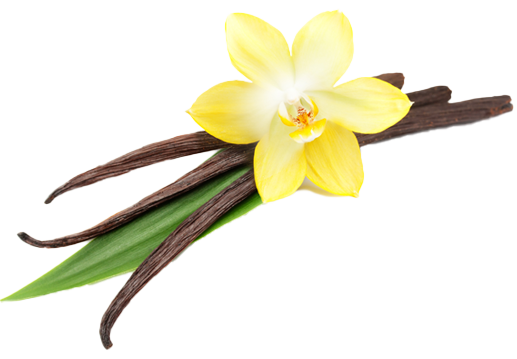 Vanille Bourbon de Madagascar
